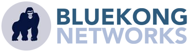 BlueKong Networks logo